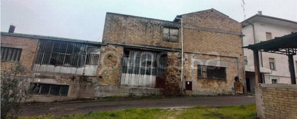 immagine annuncio 9 di 11