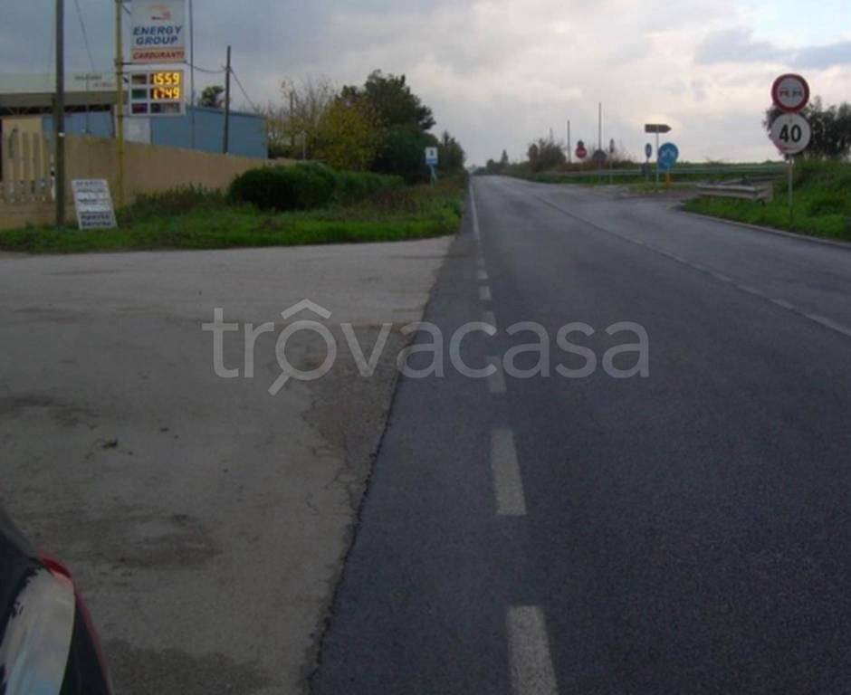 immagine annuncio 8 di 11