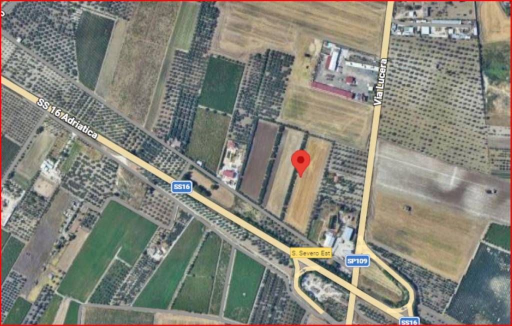 immagine annuncio 10 di 11