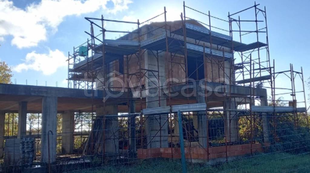 immagine annuncio 2 di 12