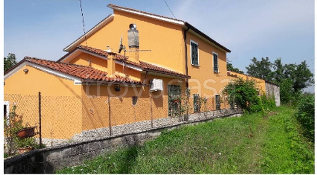 immagine annuncio 2 di 11