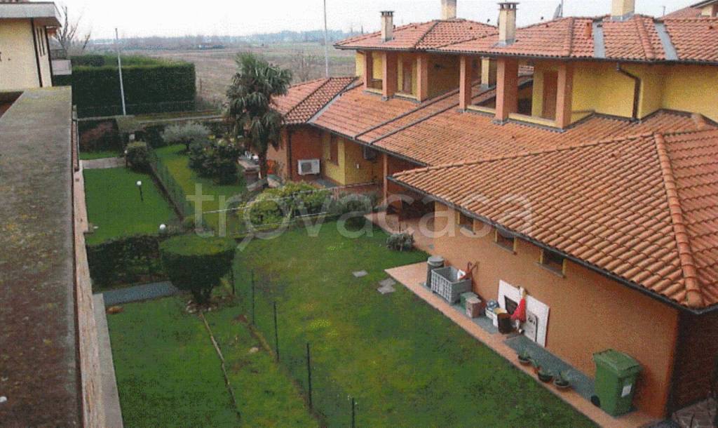 immagine annuncio 5 di 11