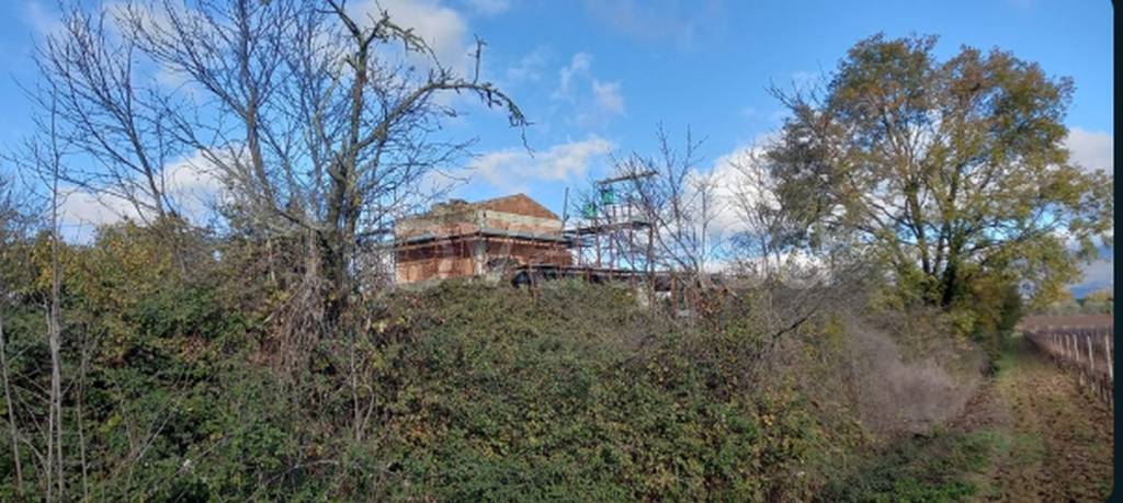 immagine annuncio 4 di 12