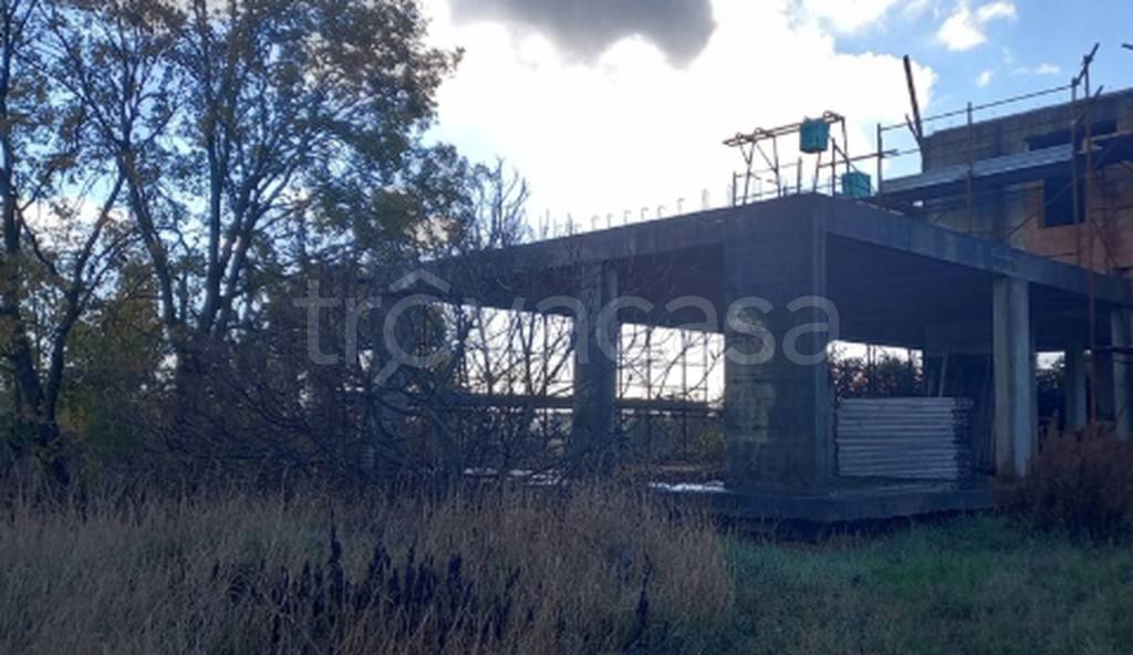 immagine annuncio 5 di 12