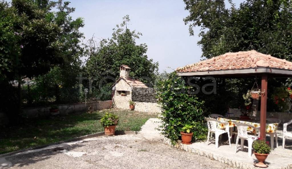 immagine annuncio 2 di 11