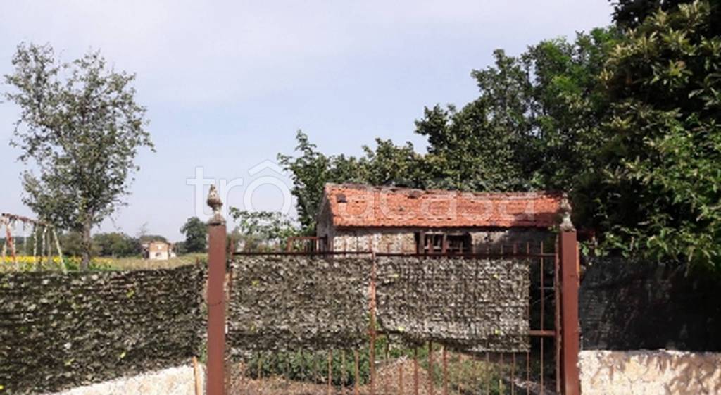 immagine annuncio 3 di 11