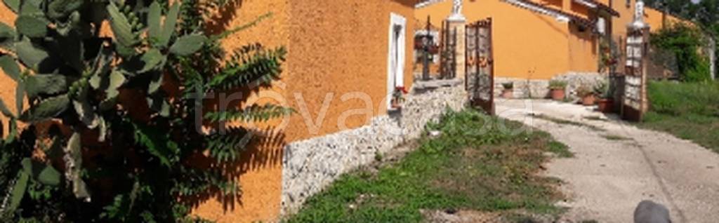 immagine annuncio 6 di 11