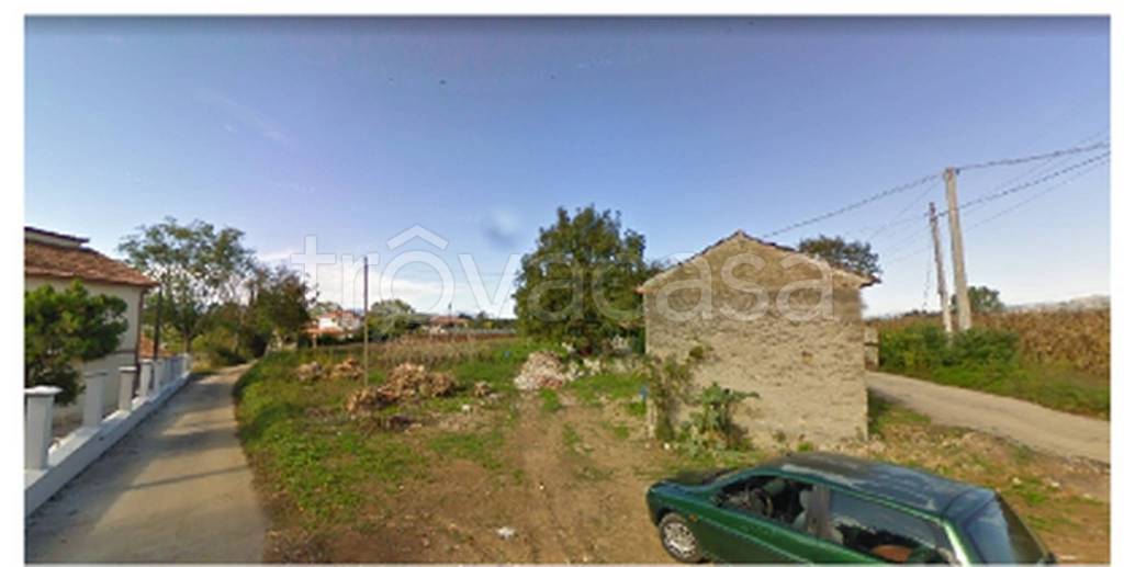 immagine annuncio 10 di 11