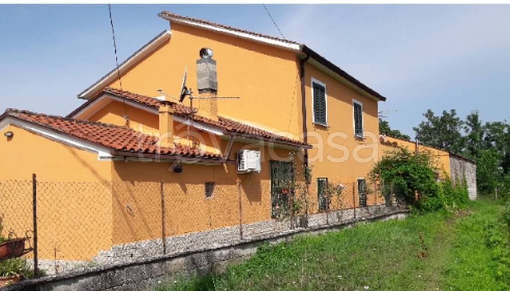 immagine annuncio 7 di 11