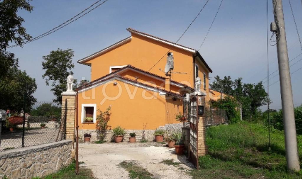 immagine annuncio 8 di 11