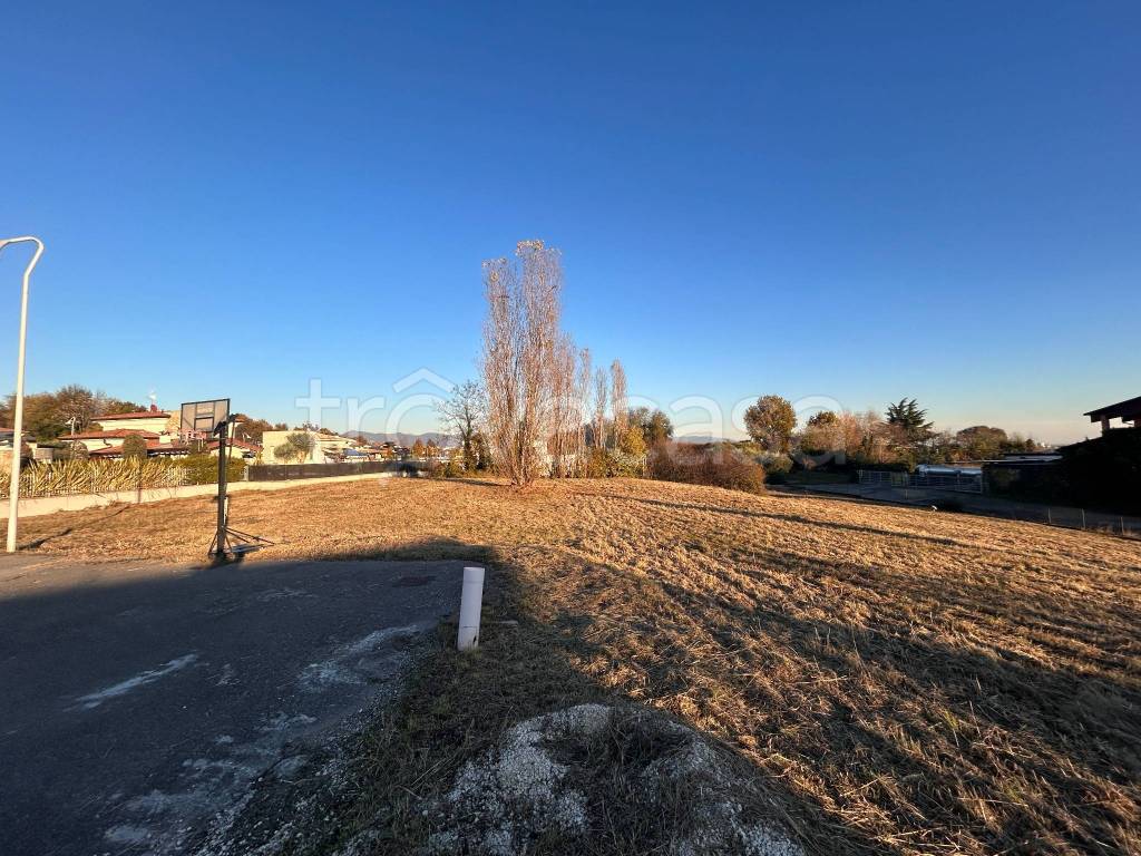 immagine annuncio 2 di 4