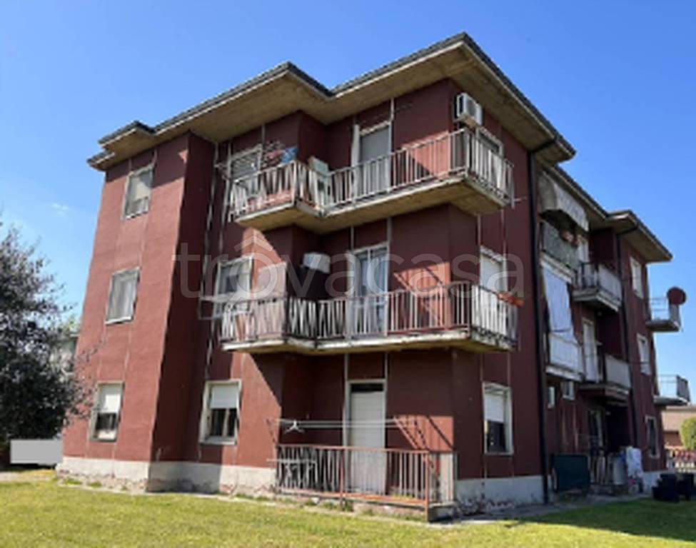 immagine annuncio 2 di 11