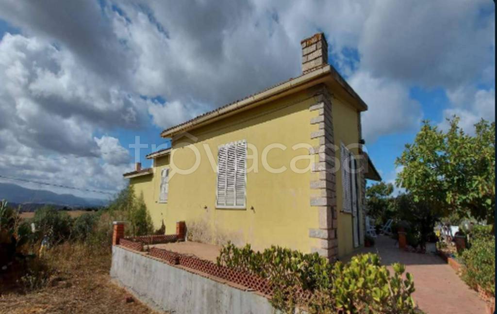 immagine annuncio 6 di 14