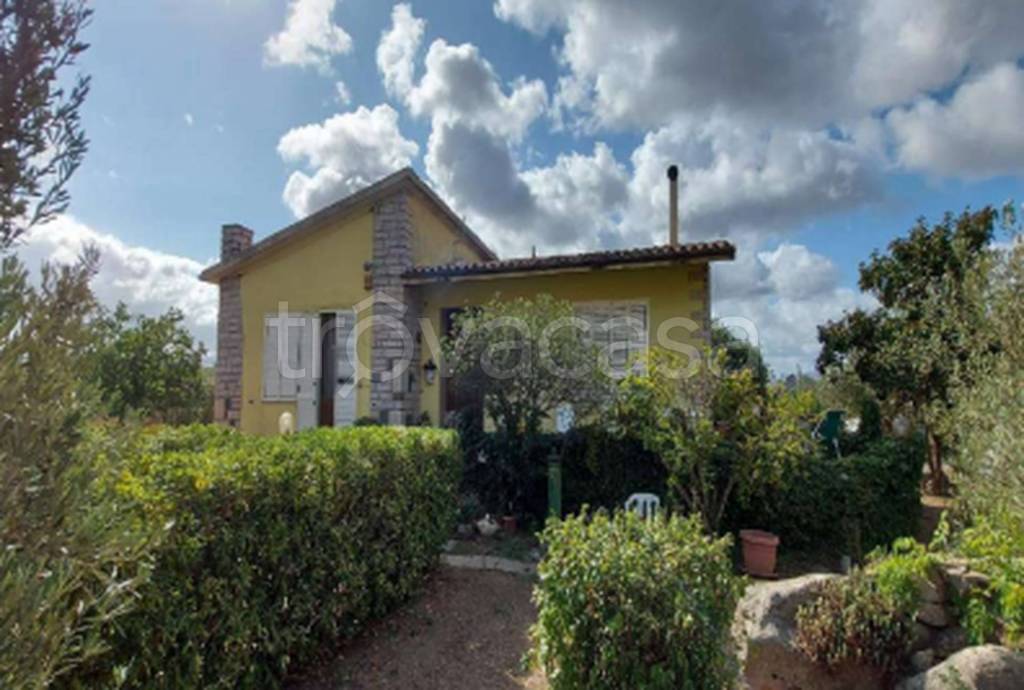 immagine annuncio 8 di 14