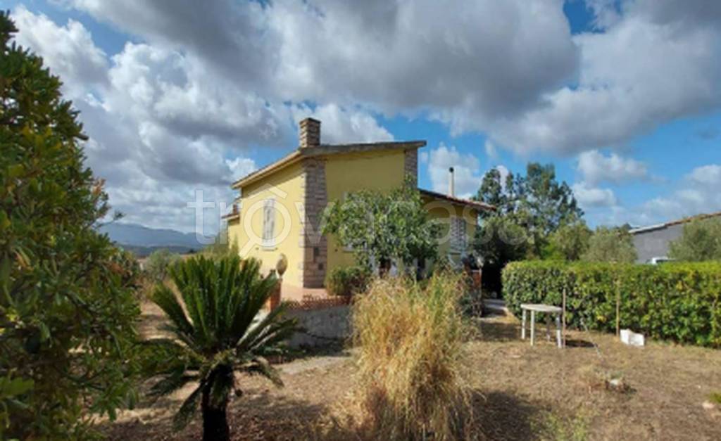 immagine annuncio 9 di 14