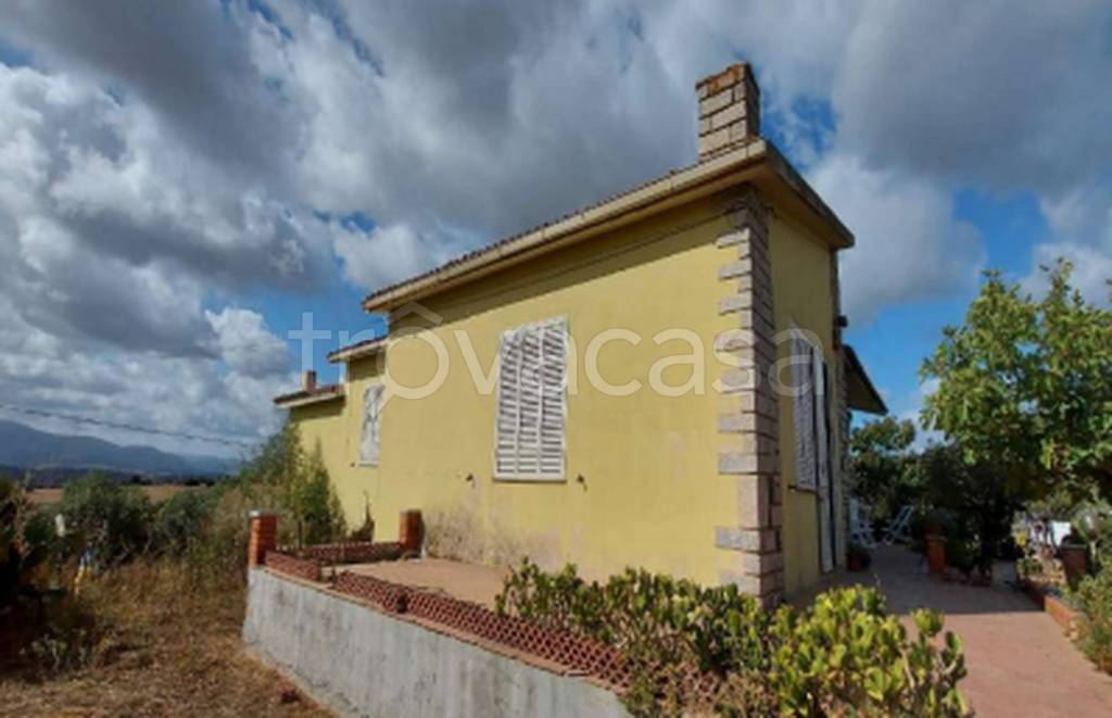 immagine annuncio 10 di 14