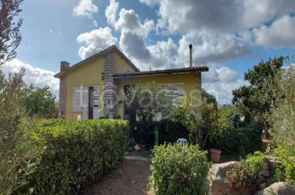 immagine annuncio 13 di 14