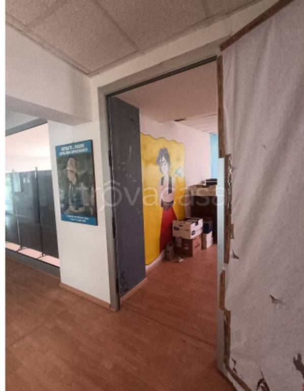 immagine annuncio 2 di 12