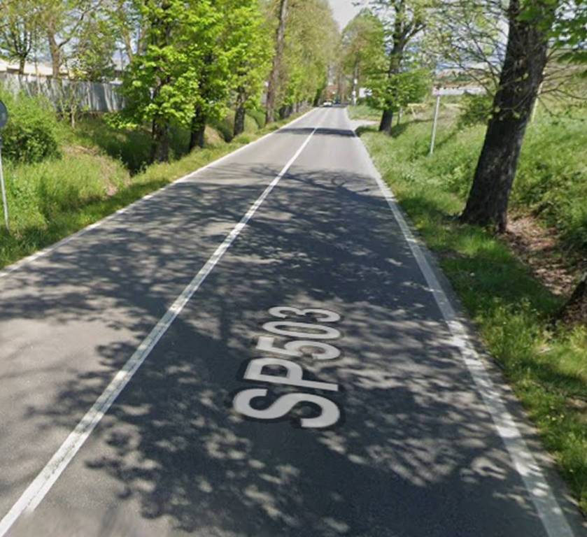 immagine annuncio 5 di 11