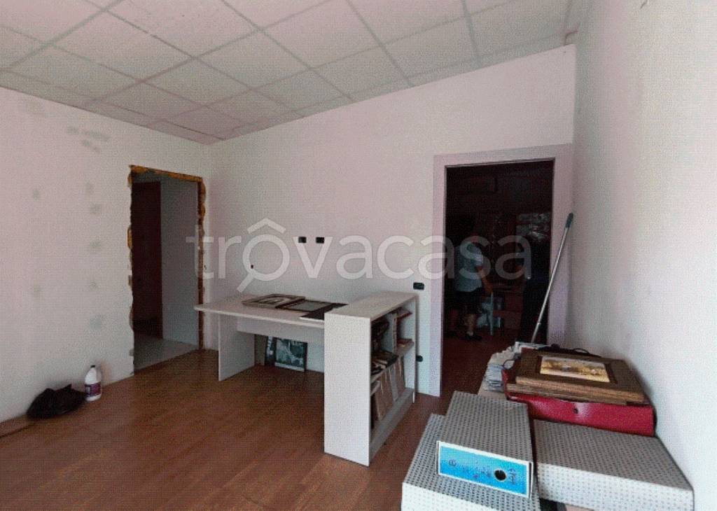 immagine annuncio 5 di 12