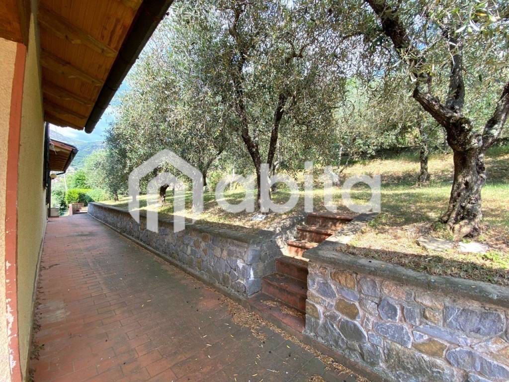 immagine annuncio 9 di 12