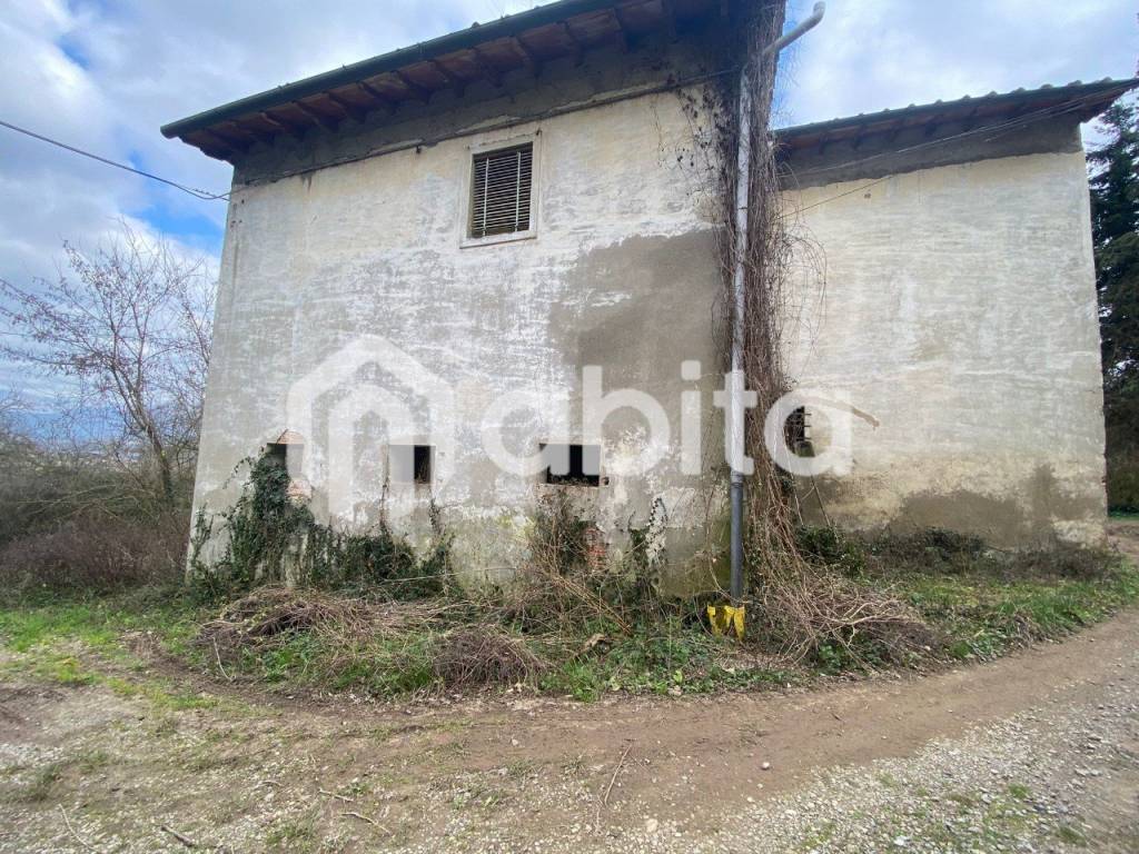 immagine annuncio 4 di 7