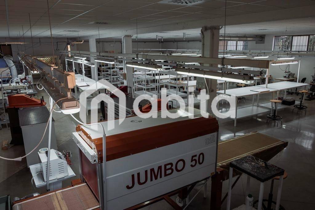 immagine annuncio 4 di 8