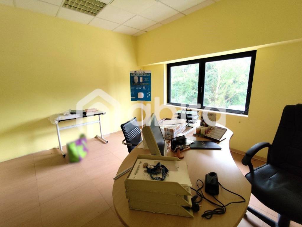 immagine annuncio 4 di 13