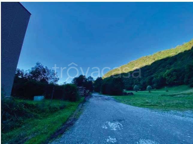 immagine annuncio 5 di 12