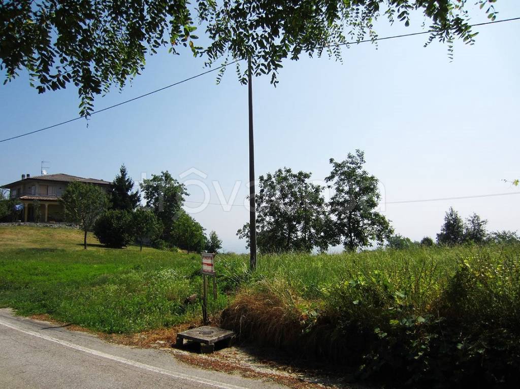 immagine annuncio 7 di 14