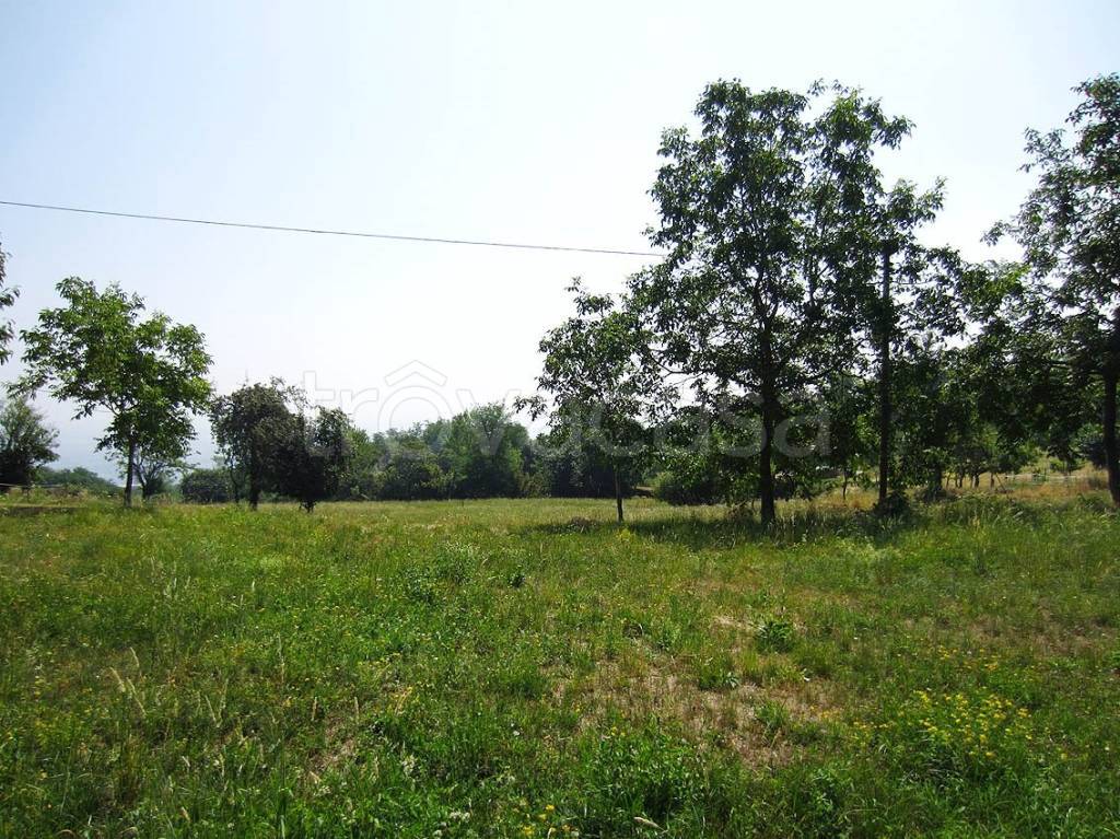 immagine annuncio 10 di 14