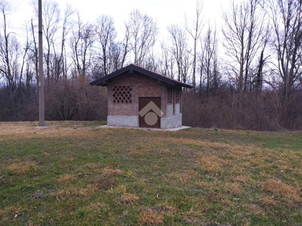 immagine annuncio 1 di 12