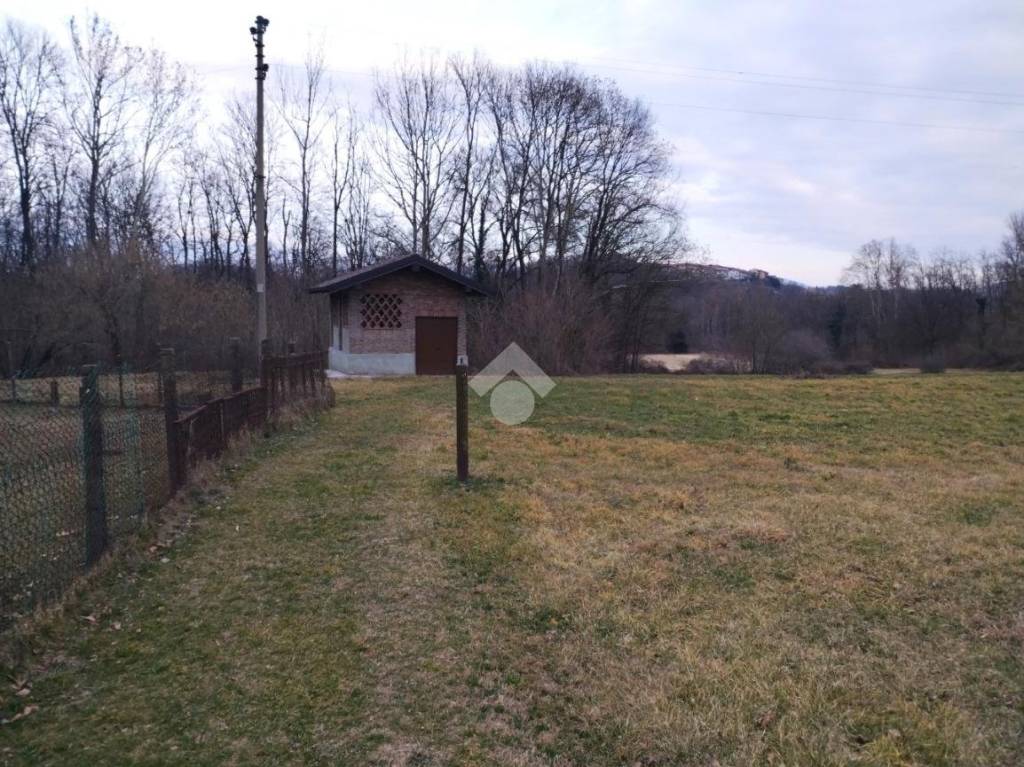 immagine annuncio 2 di 12