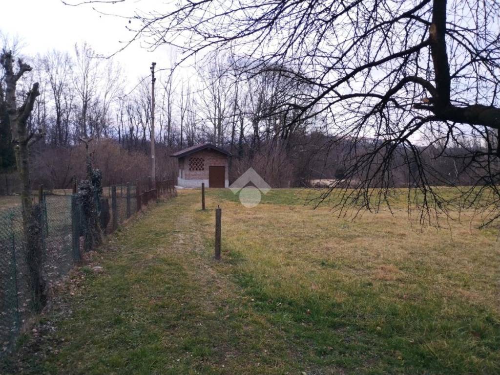 immagine annuncio 3 di 12