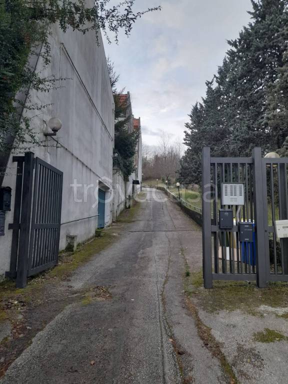 immagine annuncio 10 di 12