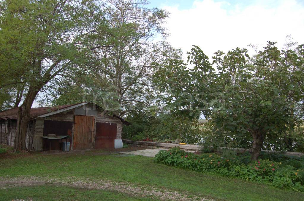 immagine annuncio 5 di 9