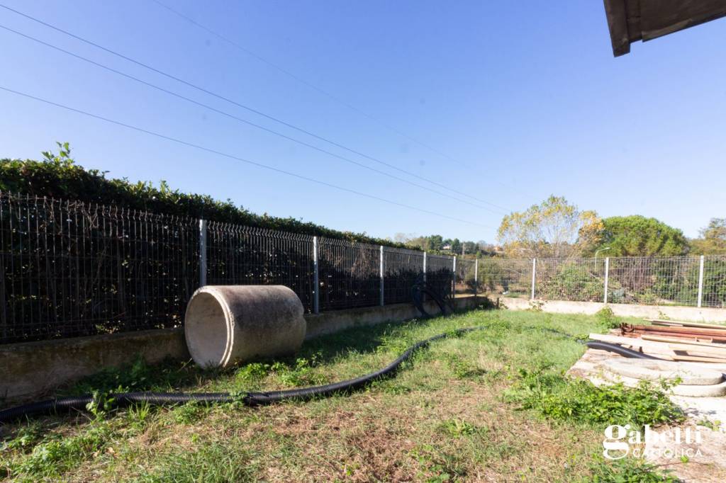 immagine annuncio 10 di 14