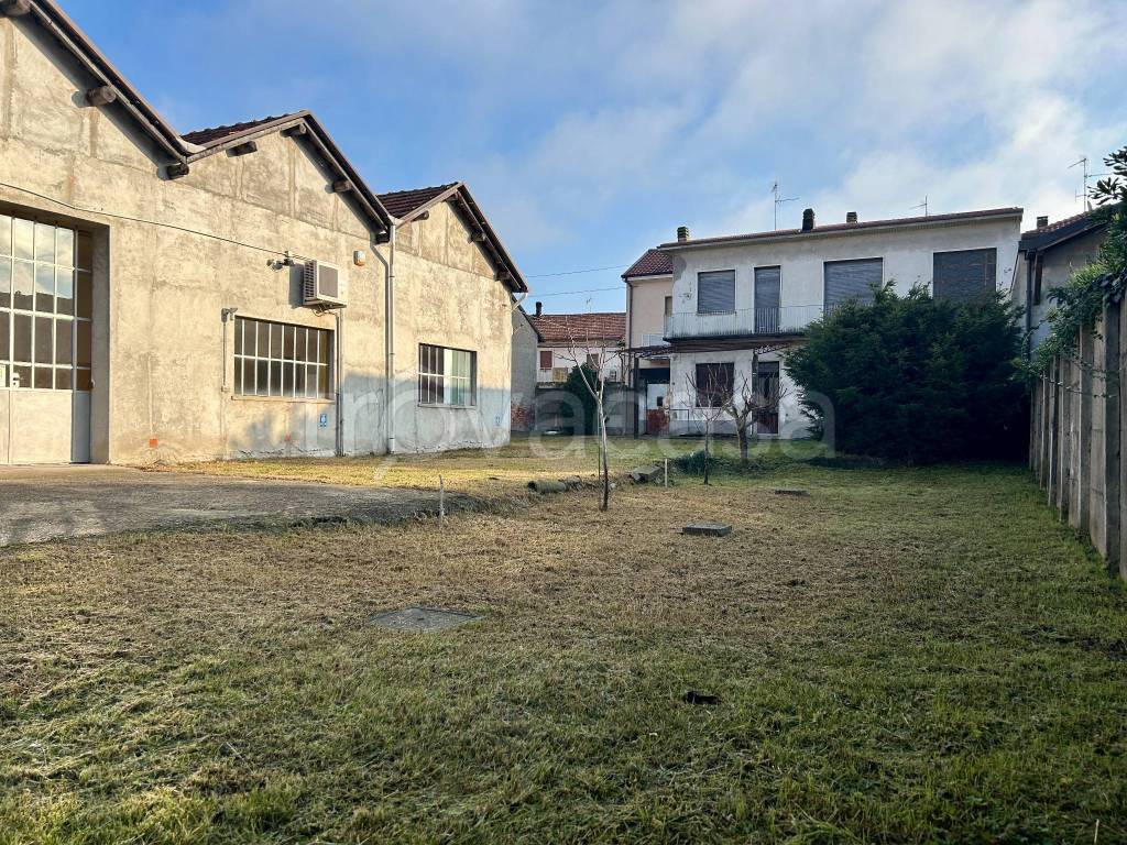 immagine annuncio 1 di 15