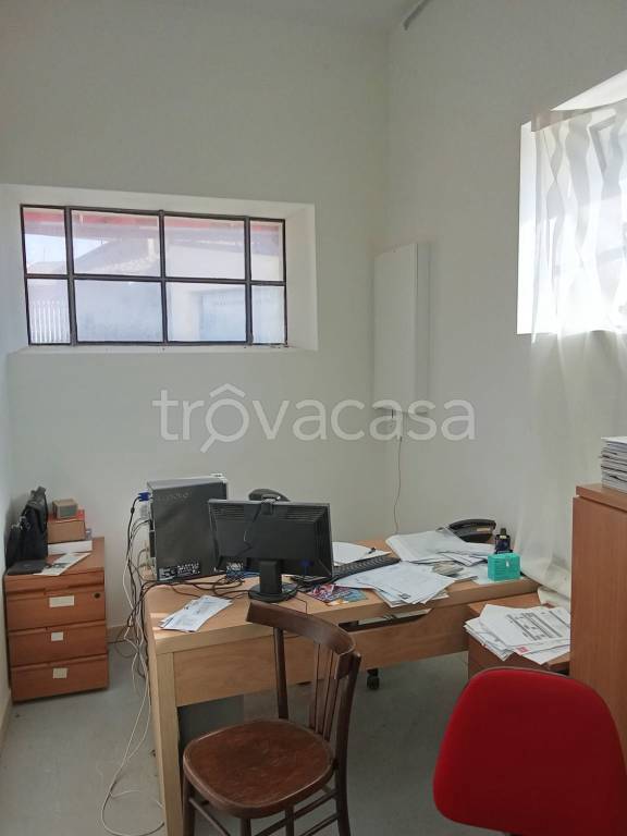 immagine annuncio 2 di 7