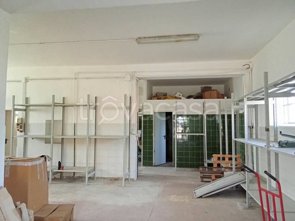 immagine annuncio 3 di 7