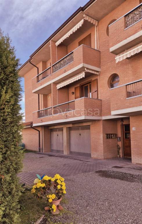 immagine annuncio 3 di 11