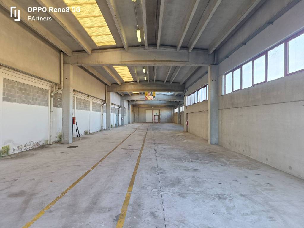 immagine annuncio 1 di 4