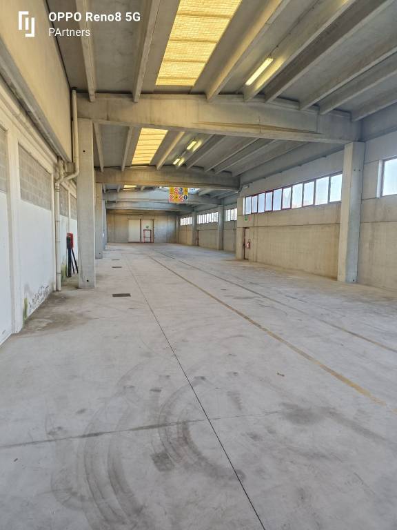 immagine annuncio 2 di 4