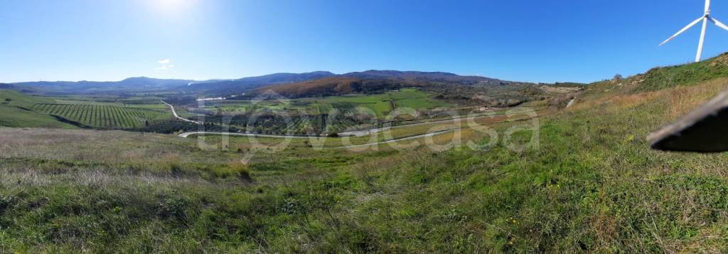 immagine annuncio 4 di 11