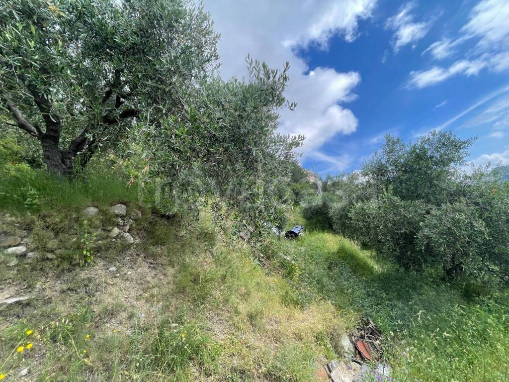 immagine annuncio 7 di 11