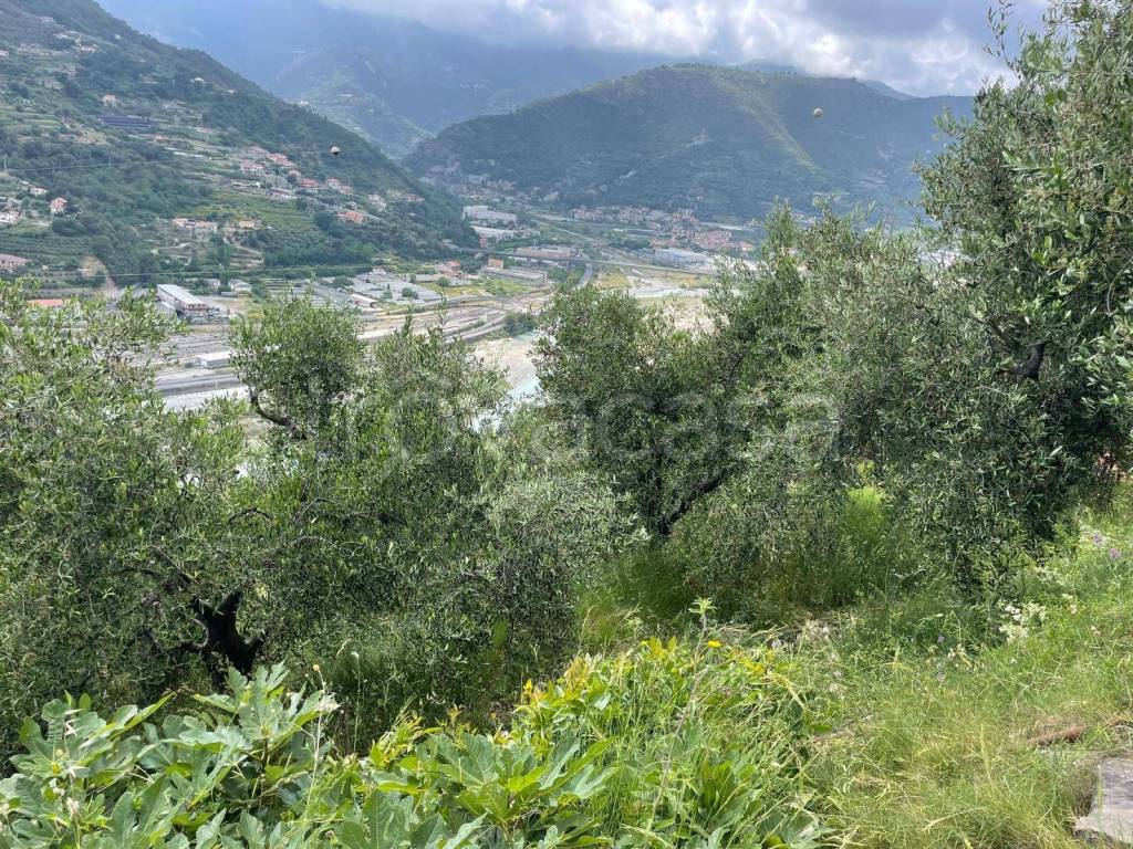 immagine annuncio 8 di 11