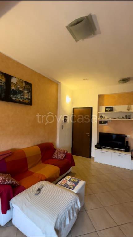 immagine annuncio 3 di 8