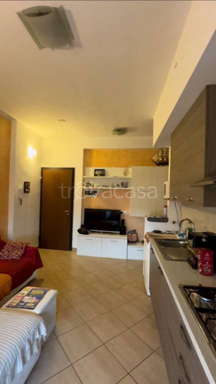 immagine annuncio 4 di 8