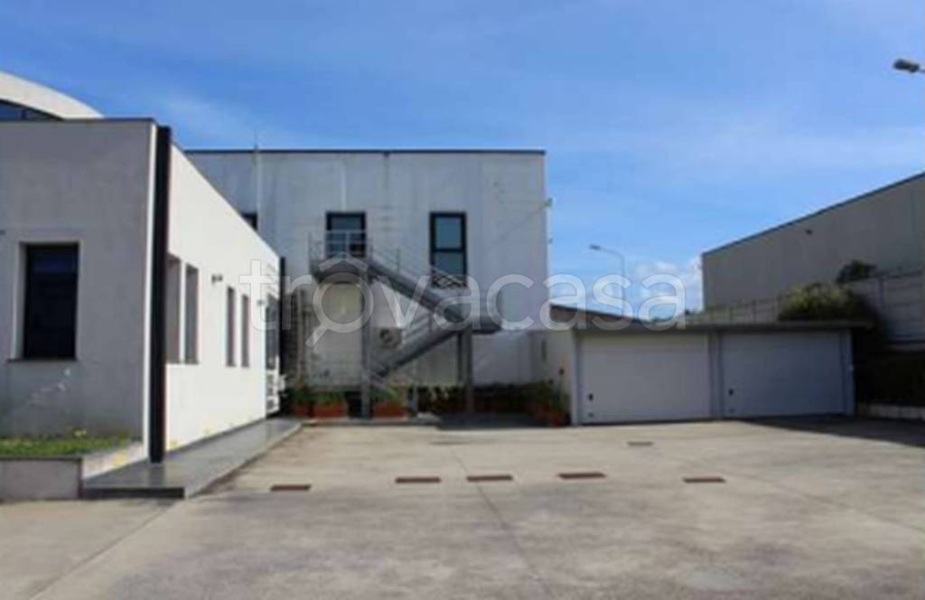 immagine annuncio 4 di 12