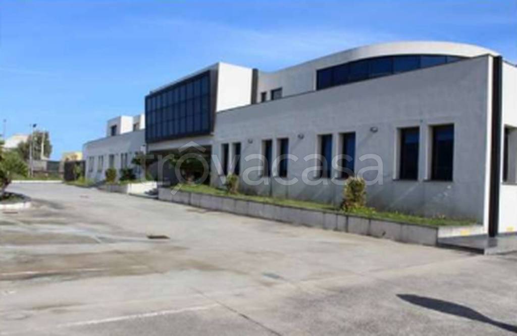 immagine annuncio 6 di 12